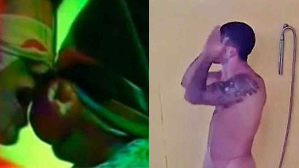 MUSICA EN GRAN HERMANO musica en gran hermano:
